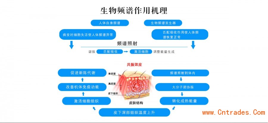 频谱治疗仪LY-601B 详情图