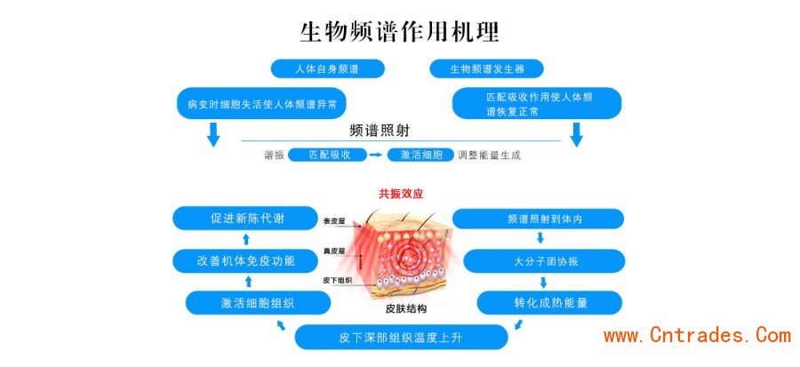 凌远频谱治疗器(屋) LY-808JZ详情图