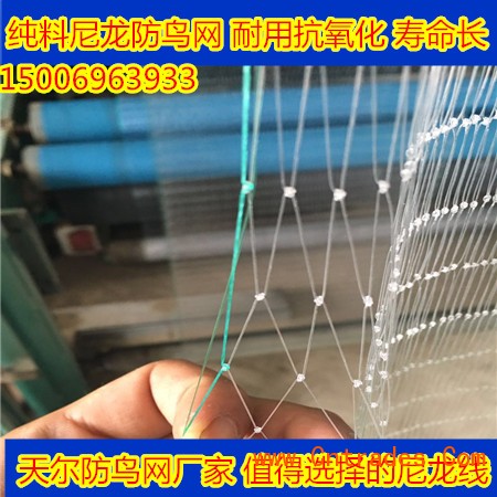 我们应该如何选择网具/防鸟网量大优惠/樱桃园驱鸟害