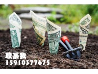 投资基金管理公司执照转让