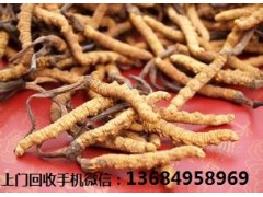 惠阳回收冬虫夏草,回收虫草价格表图2