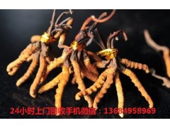 惠阳回收冬虫夏草,回收虫草价格表图3