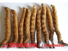 博罗回收冬虫夏草,专业回收虫草价格表图3