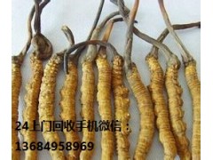 荔湾沙面回收冬虫夏草价格表图1