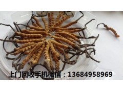 天河回收冬虫夏草,回收虫草报价图2