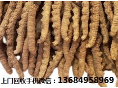 越秀回收冬虫夏草_虫草回收图2