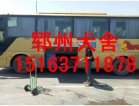 山西德牧多少钱一只