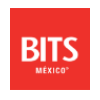 BITS MEXICO 2017-һīϢչ