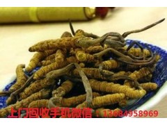 禅城回收冬虫夏草图3