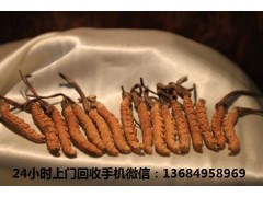三水回收冬虫夏草,回收虫草报价图3