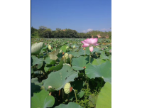 江门到南宁物流公司