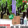 植物免疫诱抗剂超敏蛋白百香果草莓番茄生物肥料复合肥料叶面肥料