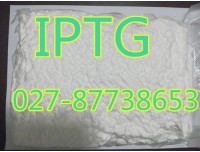 异丙基-β-D-硫代半乳糖苷（IPTG）