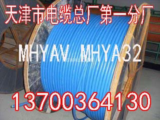 广西PTYAH22铁路电缆什么电缆33x1