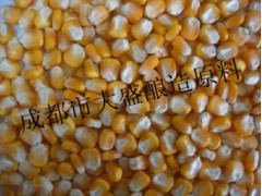 求购高粱大米玉米小麦豆薯类原料图1