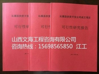 可行性研究报告代写霍州哪公司可以编制